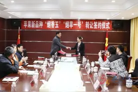 “烟香玉”“烟苹一号”苹果新品种成功转让开发图片