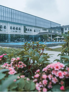 年假清零，总要留几天给洛阳