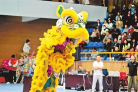 龙腾狮跃争上全运图片
