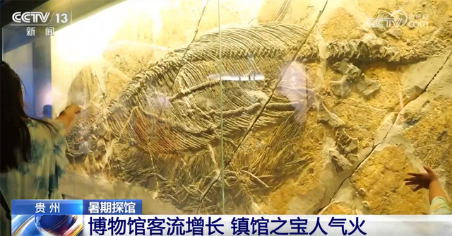 “文博热”为暑期文旅市场“增色添彩” 多地博物馆客流攀升
