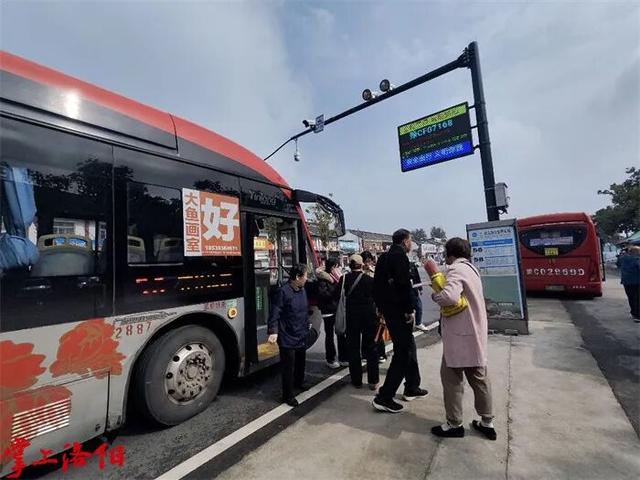 【城市提质】严管＋摆渡车！洛阳白马寺交通大变样