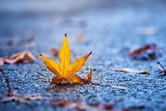 惊艳！身边的北京秋景“天花板”来了！