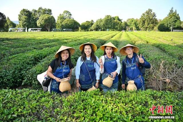 海外媒体人邂逅“活力长沙” 具象感知“中国智造”脉搏