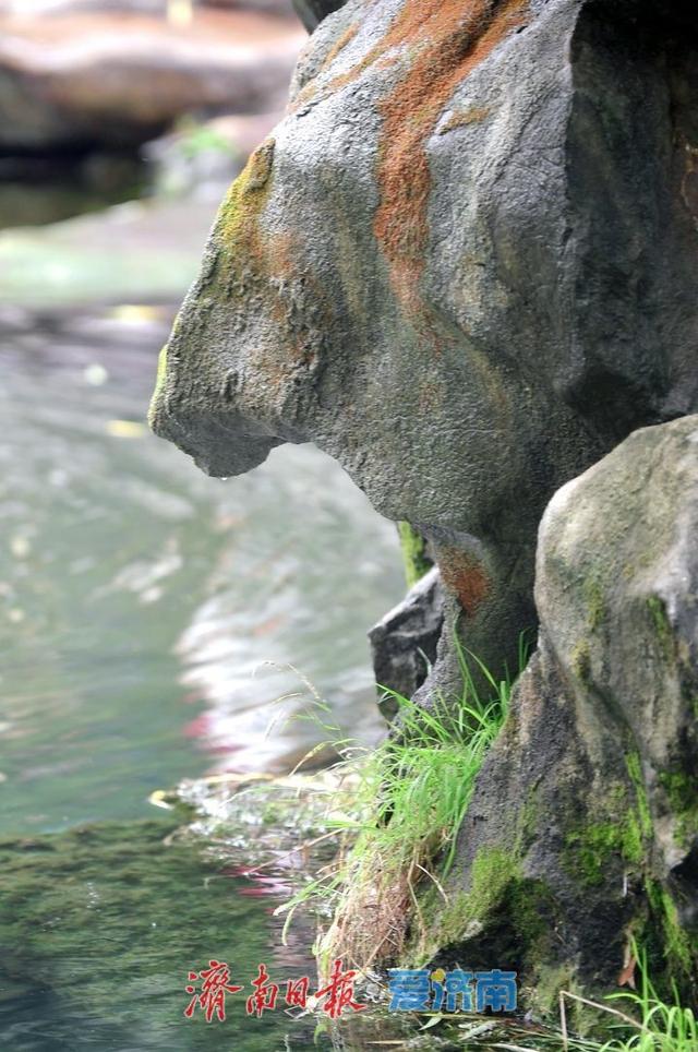一年四季 泉在济南丨趵突泉水位逼近29米线，济南月牙泉“滴水欲涌”引期待