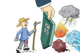 瞭望 | 种粮户期待多层次农业保险图片