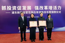 全国首创，上海浦东探索将“三林崩瓜”等写进企业经营范围图片