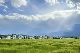 万千气象看云南丨大理乡村生活“出圈” 乡村振兴“有范”图片
