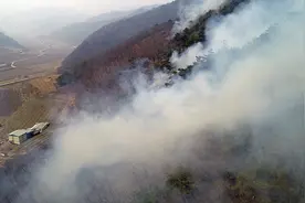 韩国庆尚南道山清郡山火主火已被扑灭图片
