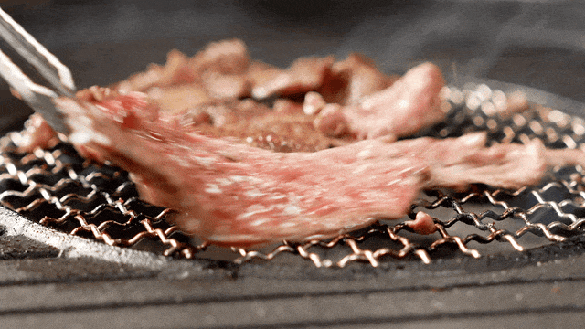 出发！跟着稻马去高明旅行！