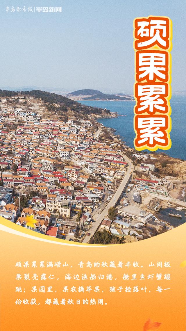 这里是青岛｜青岛秋味，藏在这些成语里