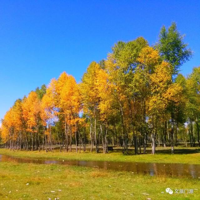 【秋日青海】这个秋天就去门源吧！把仙米森林公园的秋，酿成旅途的甜