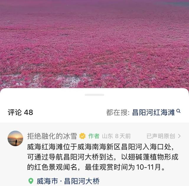 南海红海滩刷屏 网友争相打卡