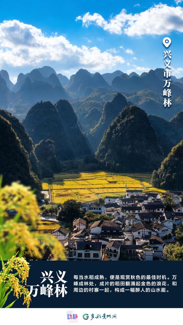 绝美，超出片！秋日贵州像打翻了调色盘