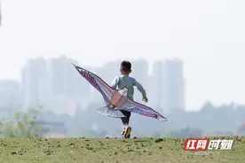 年终盘点｜捕捉时代之光，定格生活之美图片
