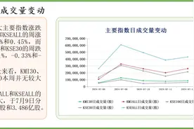 中经资料：巴基斯坦证券市场一周回顾（2024.07.08-07.12）图片