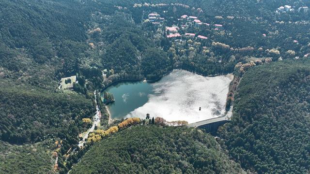 属马、姓马、名字带马 全国多地景区送出专属文旅福利