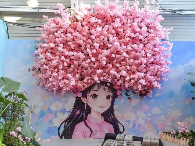 家庭园艺嘉年华｜北京兰花文化嘉年华将于明日启幕