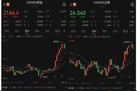 涨幅超过黄金！贵金属家族下一匹“黑马”是它？图片