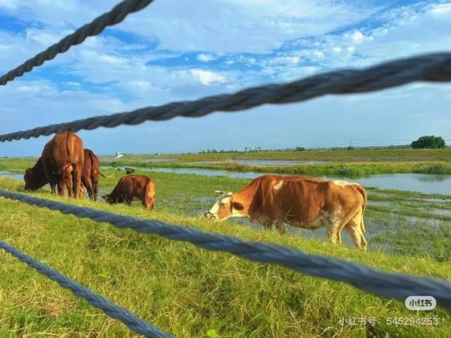 这个周末，我要去淮安赶“海”、捞河蚌、摸螺螺！