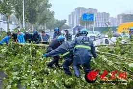 东明县迅速响应应对龙卷风极端天气 全力开展灾后救援图片