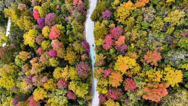 现在的黔南，已经美成这样了→