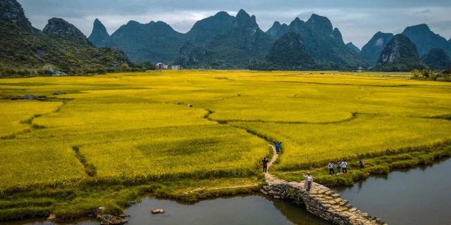 桂林即将进入 “颜值巅峰期”，这些家门口的秋日盛景千万别错过！
