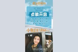 这个春天被一条小狗治愈！《我会好好的》本周末点映图片