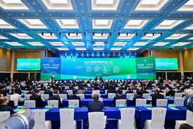 2024年世界林木业大会在南宁召开图片
