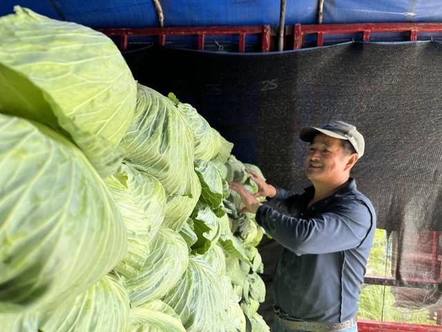 深挖“冷”资源 激活“热”经济 长阳火烧坪打造避暑新IP