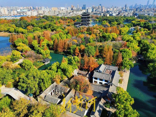 大明湖进入冬日多彩斑斓季，绘就泉城绝美画卷