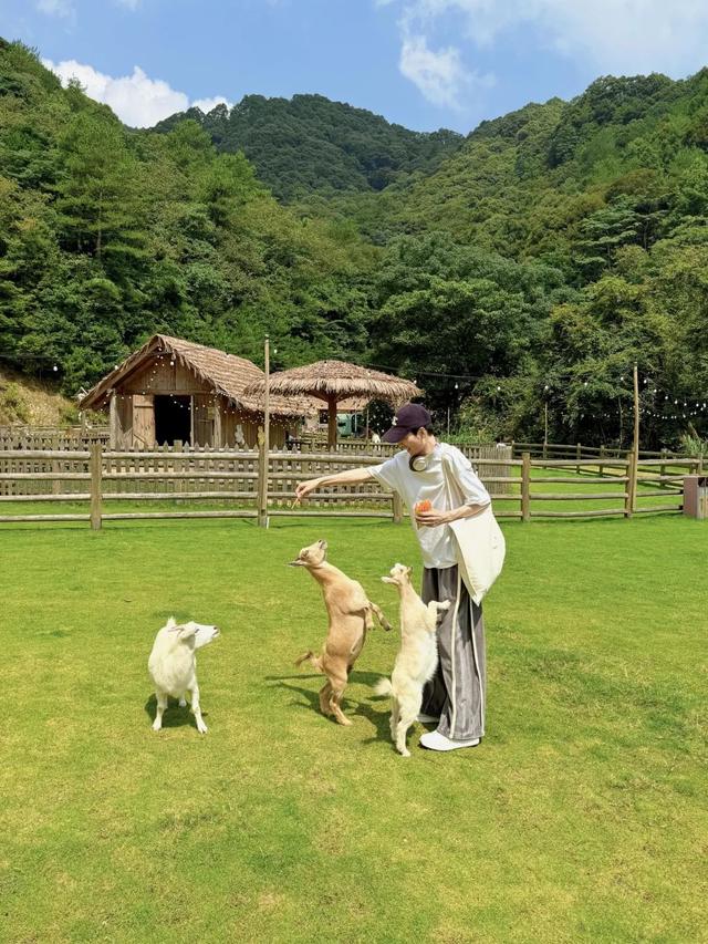 晴雨都能嗨！艺术盛宴、绝美日落、奇幻夜游，总有一款适合你→