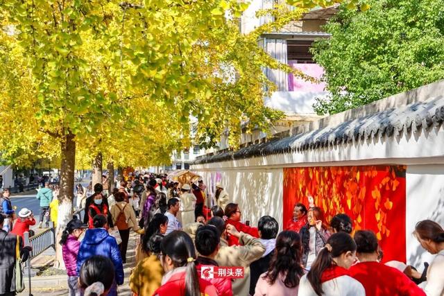 人从众！荆州这条街上“长”满了人……