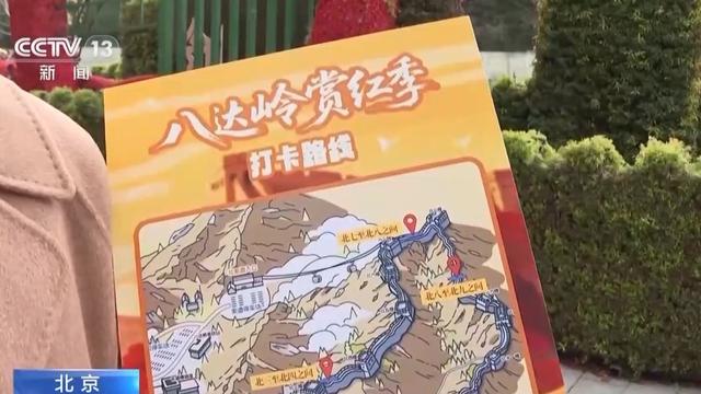 赏秋正当时 八达岭红叶最佳观赏期至本月底