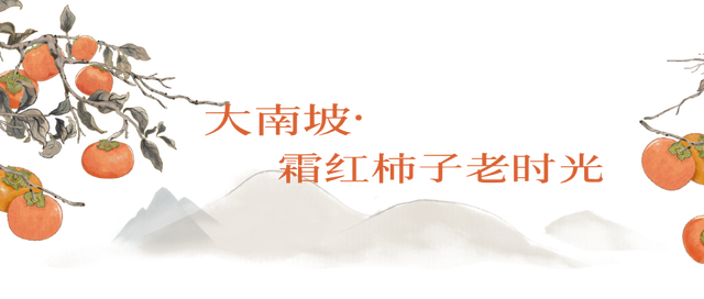 霜降柿事｜今日宜：在修武咬住一整个秋天！
