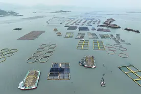 把“海”带回家图片