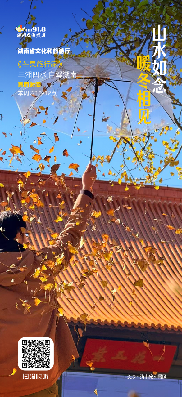 湖南绝美银杏打卡地，太出片了