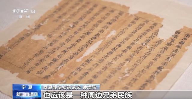 这些“熟悉”的字你会念吗？一起来学习西夏语