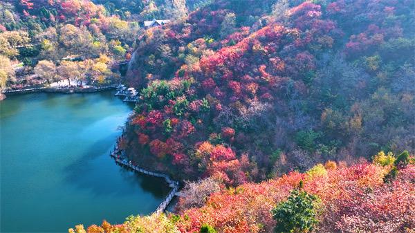 漫步九如山，感受济南秋天的浪漫