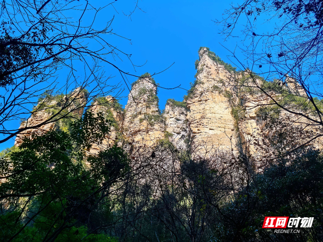 杨家界秘境登顶徒步圈 “雄奇险幽”引背包客竞逐