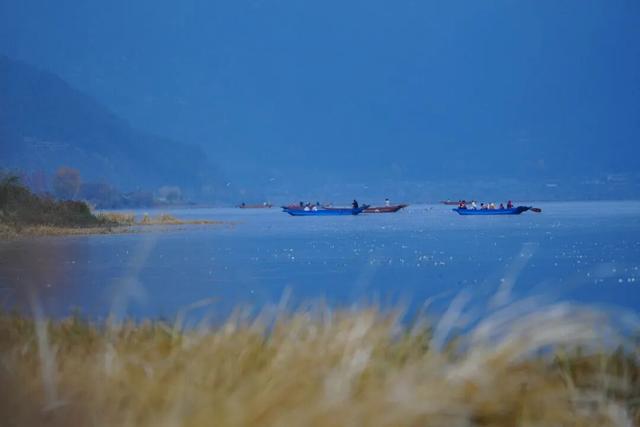 泸沽湖冬日限定浪漫：乘猪槽船，赴一场红嘴鸥之约