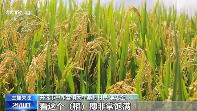 人走场净、骑行旅游、水稻旱作 “绿色低碳”融入生活
