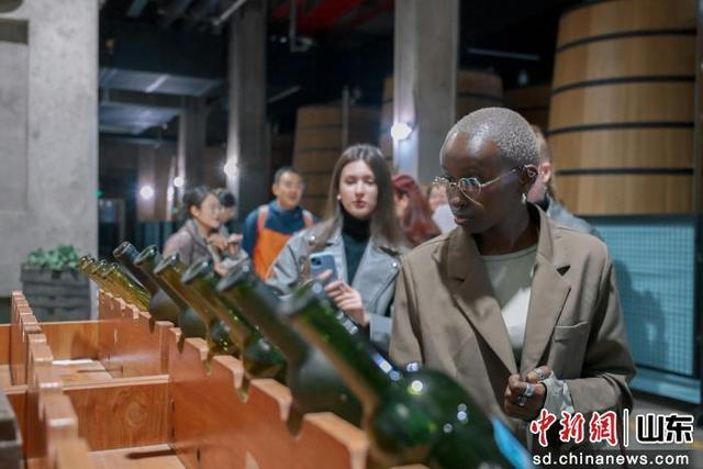 国际友人探访烟台黄渤海新区 感受城市发展活力