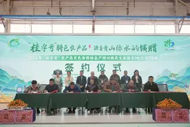 2024年“桂字号”农产品西林县产销对接及文旅推介活动在哈尔滨举行图片