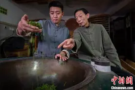 樊生华代表：把西湖龙井的未来交给年轻人图片