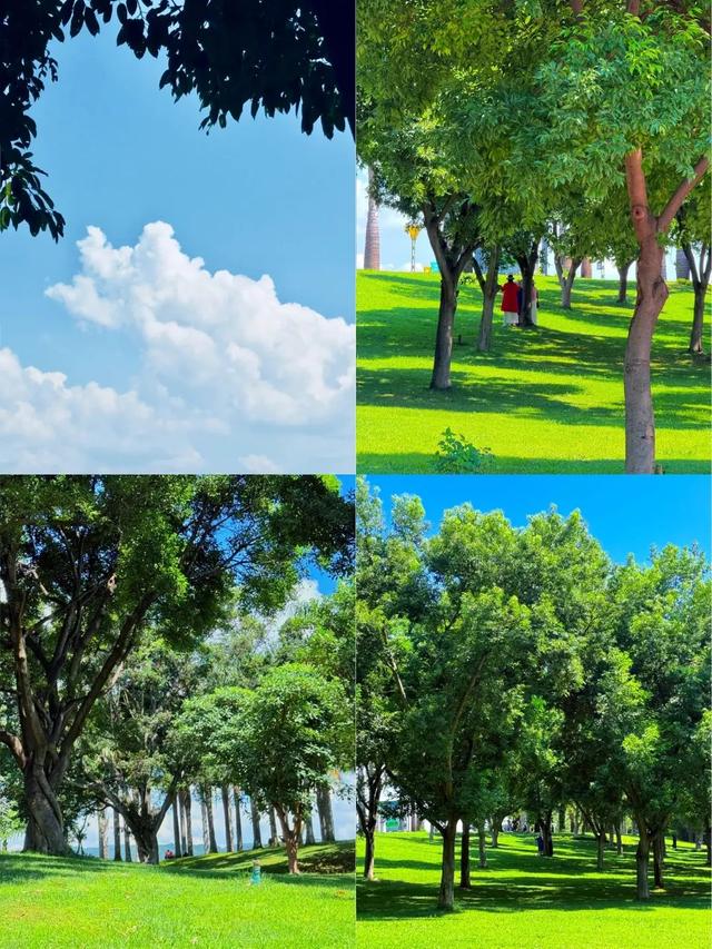 弥勒，这个暑期有点火