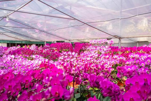 连休5天！秋假来里水边玩边学！