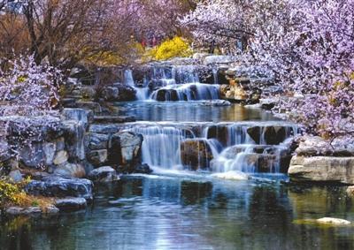 乘西郊线，赴一场春日浪漫之旅