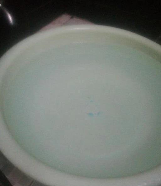 单身小伙出差15天，留泰迪一盆水一箱饼干，回家后傻眼了！
