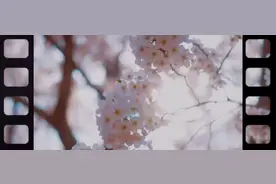 “花海青岛 恣在生活”媒体体验行活动正式启动图片
