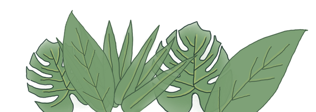 儿童友好 | Bulu自然探秘·秋日版招募开启！在泡泡公园遇见最美秋天